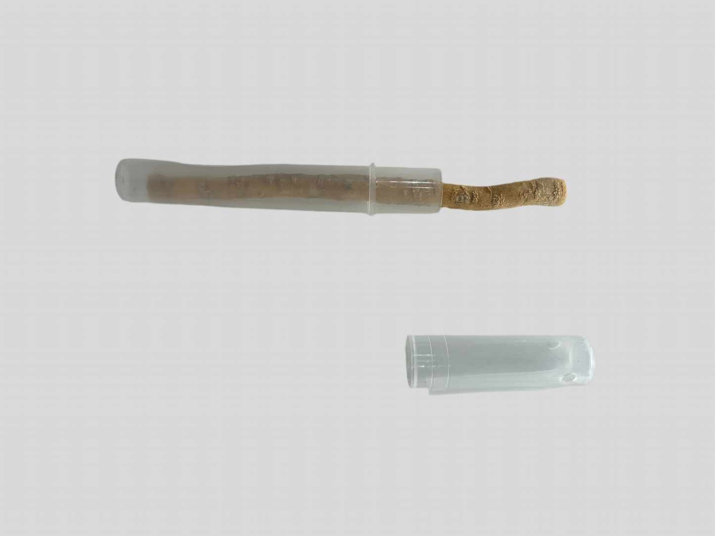 Miswak in Portable Case