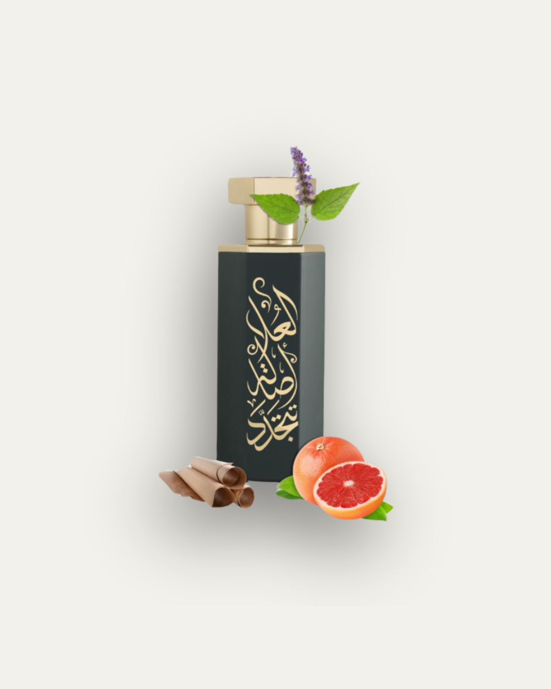 Arabs of Al Ula 100ml EDP by Reef
