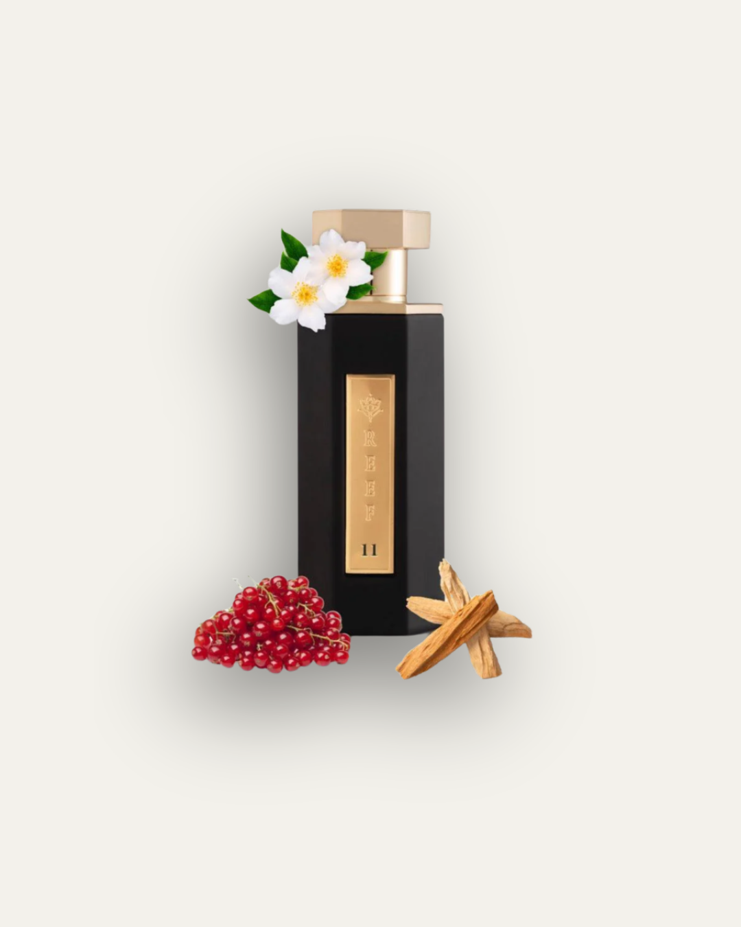 REEF 11 EDP 200ml Classic Perfume