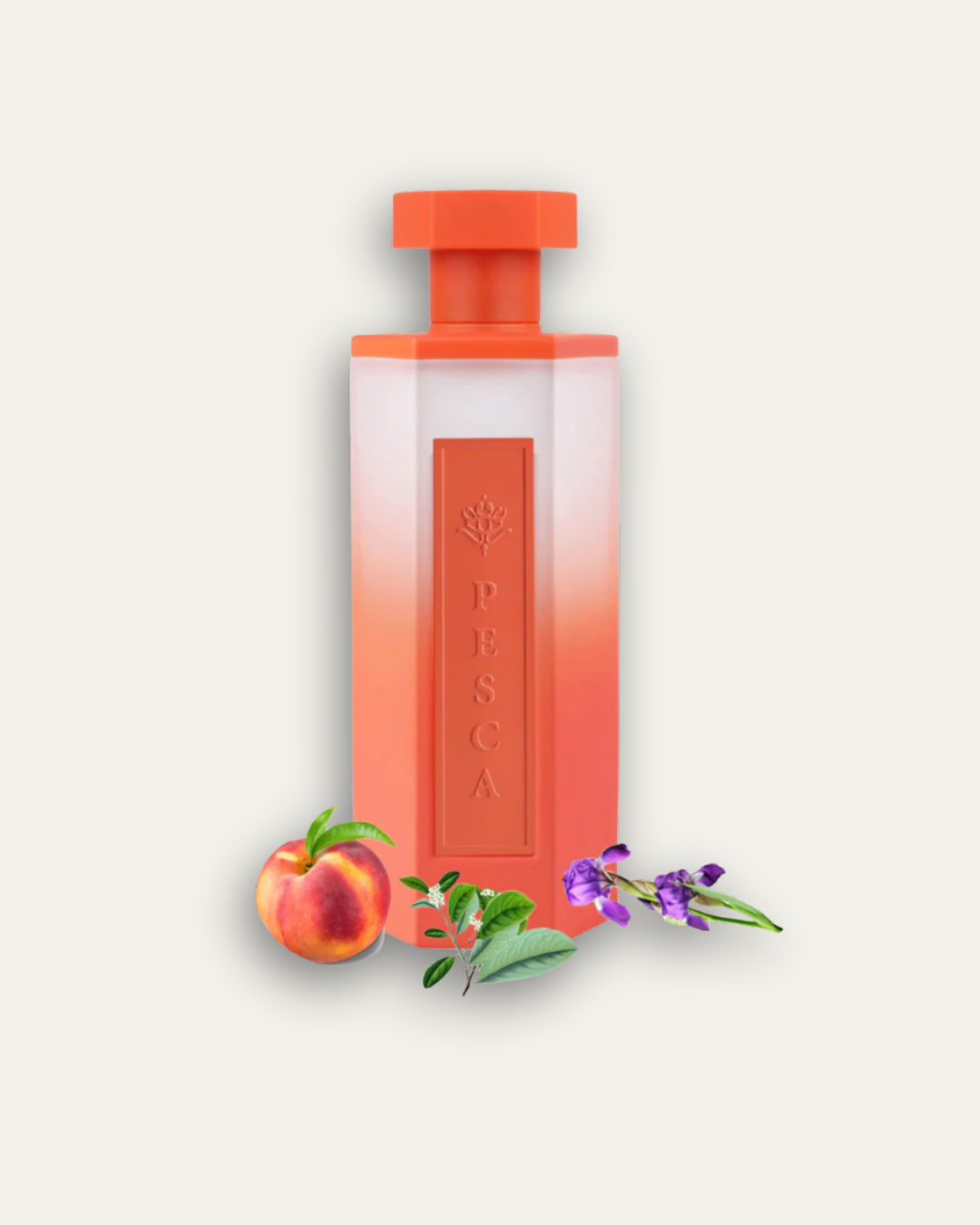 REEF Pesca EDP 200ml Perfume